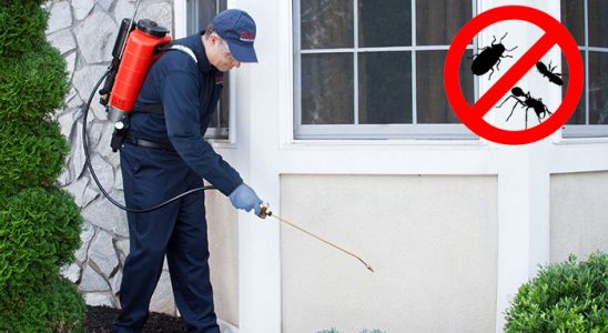 Boğazkale Bit İlaçlama böcek ilaçlama ve haşere kontrolü — ilaclama-tr.com